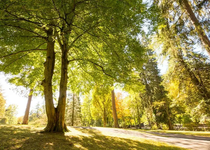 Spieglein Spieglein דירה